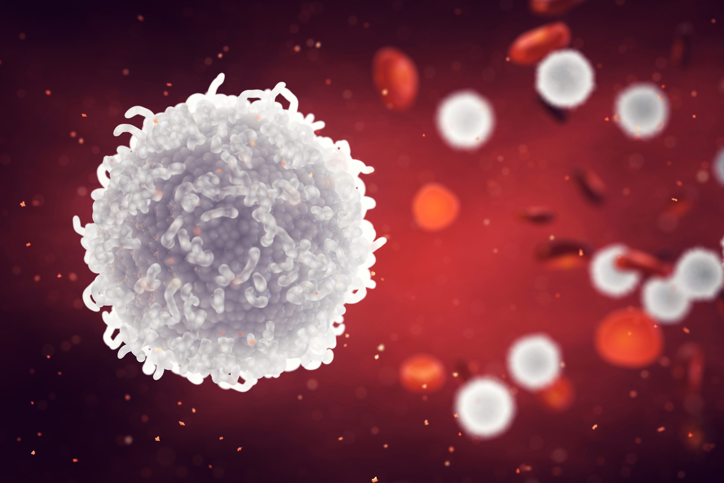 Immunsystem